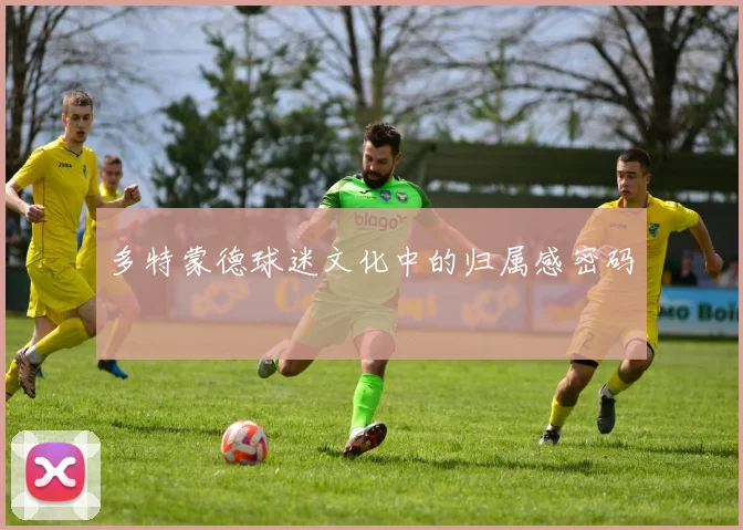 多特蒙德球迷文化中的归属感密码