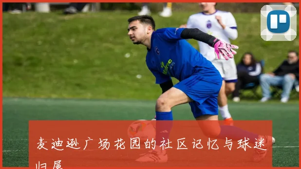 麦迪逊广场花园的社区记忆与球迷归属