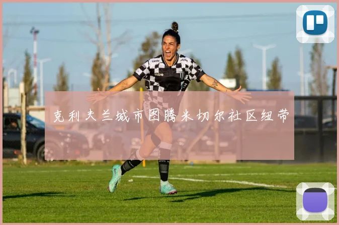 克利夫兰城市图腾米切尔社区纽带