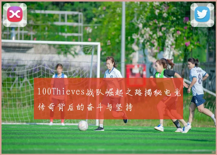 100Thieves战队崛起之路揭秘电竞传奇背后的奋斗与坚持