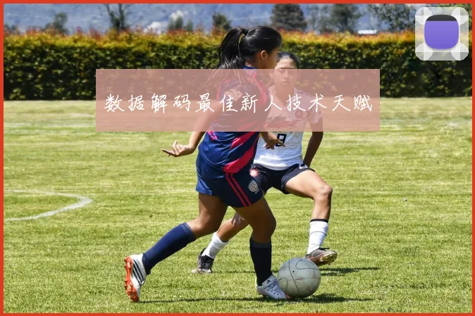 数据解码最佳新人技术天赋