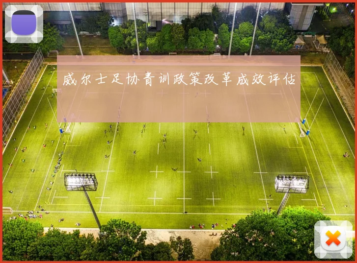 威尔士足协青训政策改革成效评估