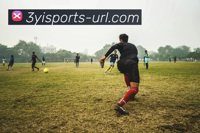 三亿官网APP 封面图